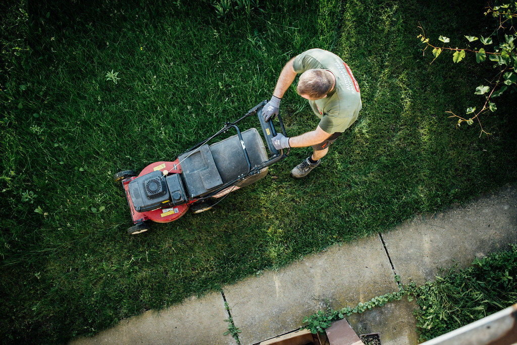 Professional gardener mowing a lawn with a red petrol mower, overhead view