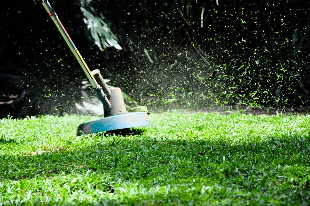 Line trimmer edging a lush green lawn with grass clippings in the air