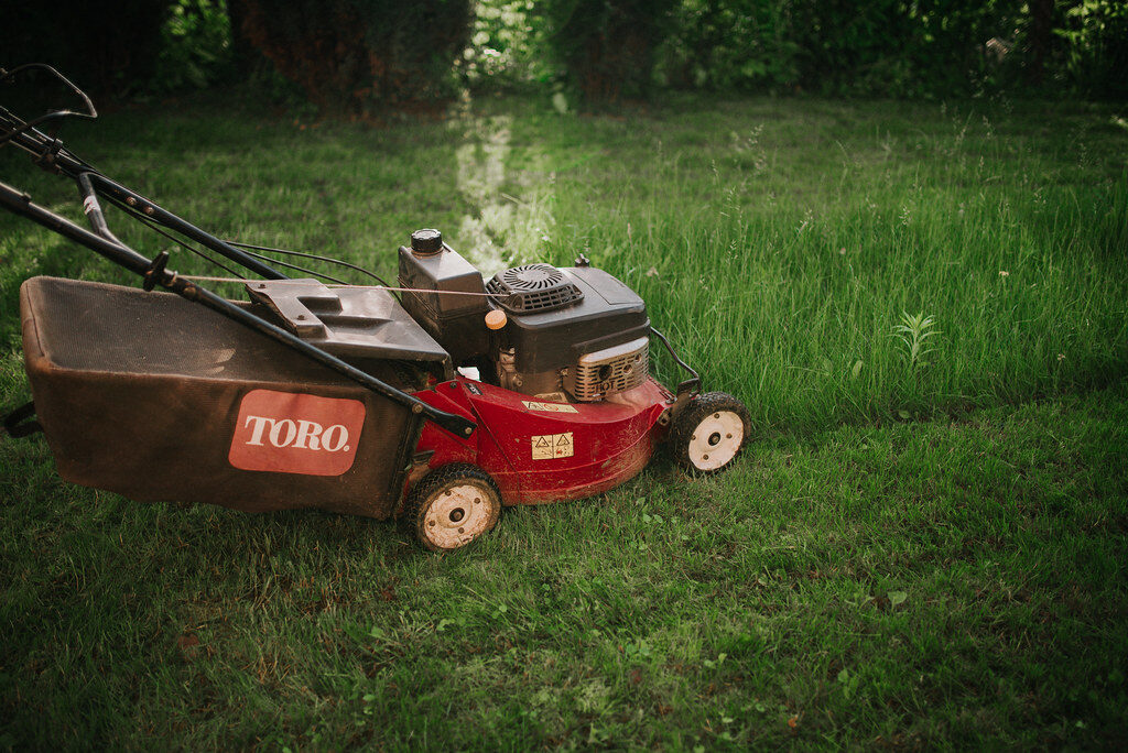 Red Toro petrol lawn mower on freshly cut grass showing the mowing line
