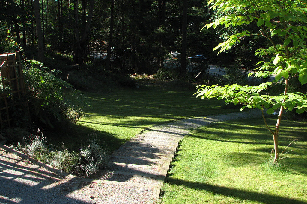 Freshly mown lawn beside a gravel garden path in dappled shade